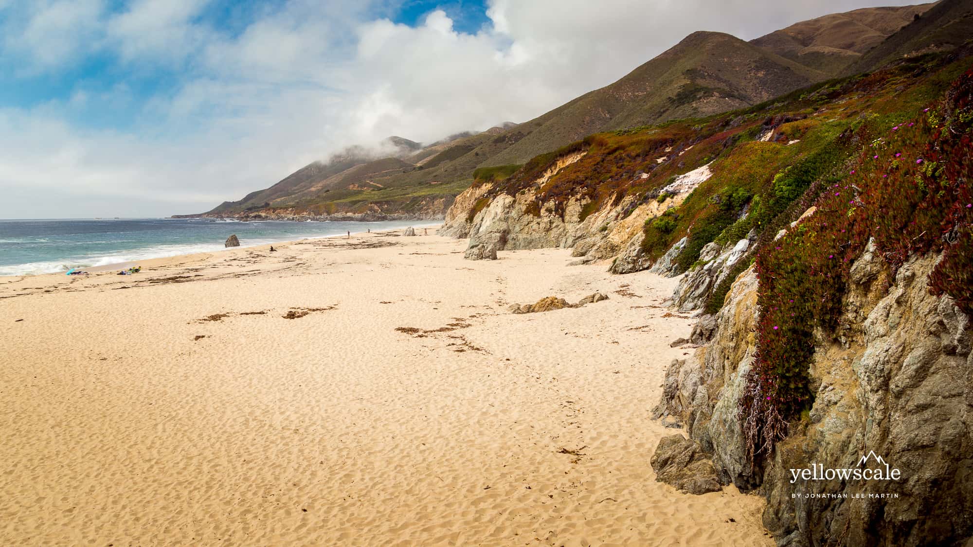 Beach without Sea Otters