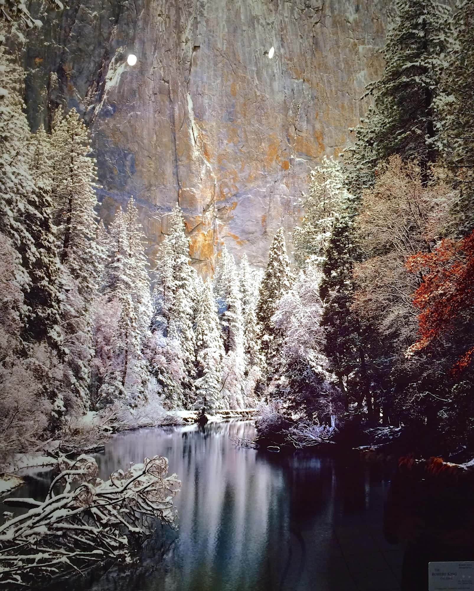 Metal print of Yosemite.