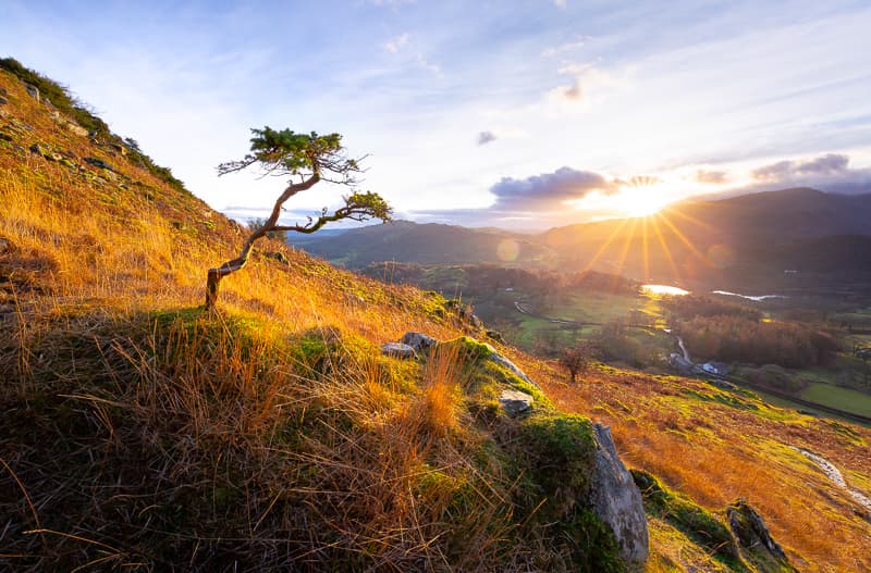 Loughrigg Fell, Lake District, England